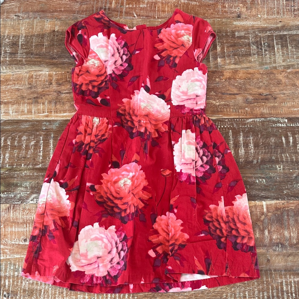 GAP Red and Pink Floral Girls Dress